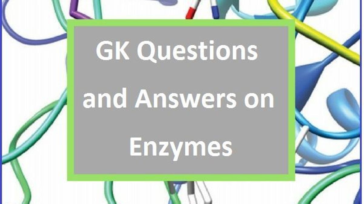 GK Questions and Answers on Enzymes