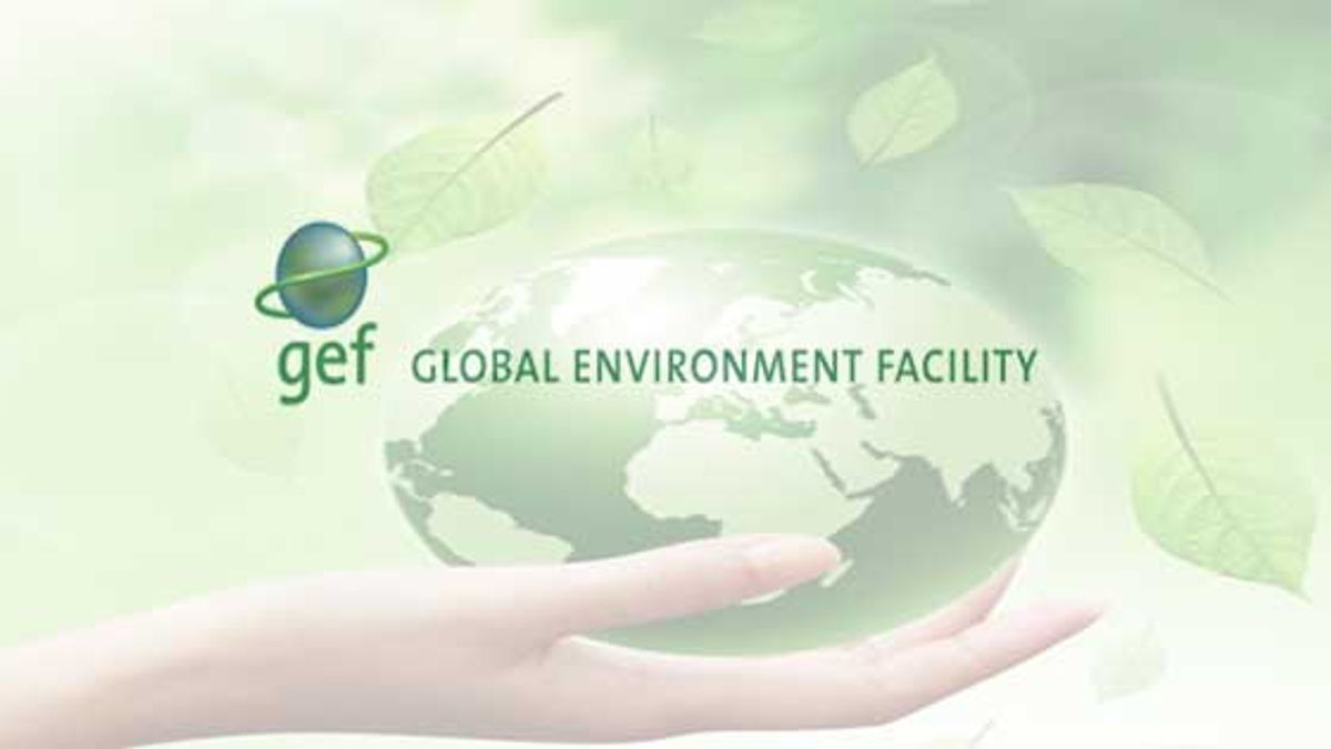 What is Global Environmental Facility (GEF)?