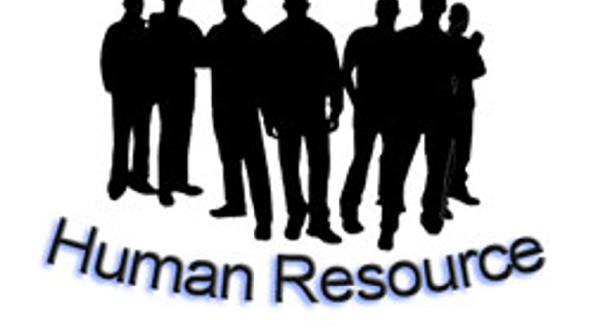Human Resource Management / Employee Management in an Organization