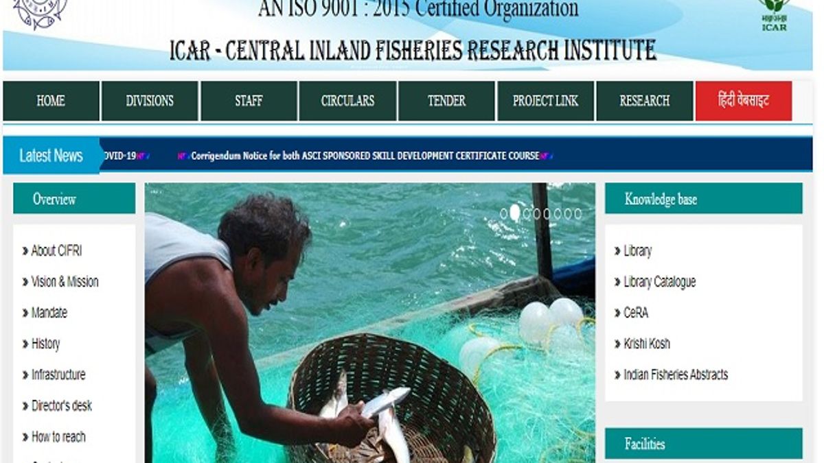 CIFRI Recruitment 2020: Apply for Young Professional II Posts