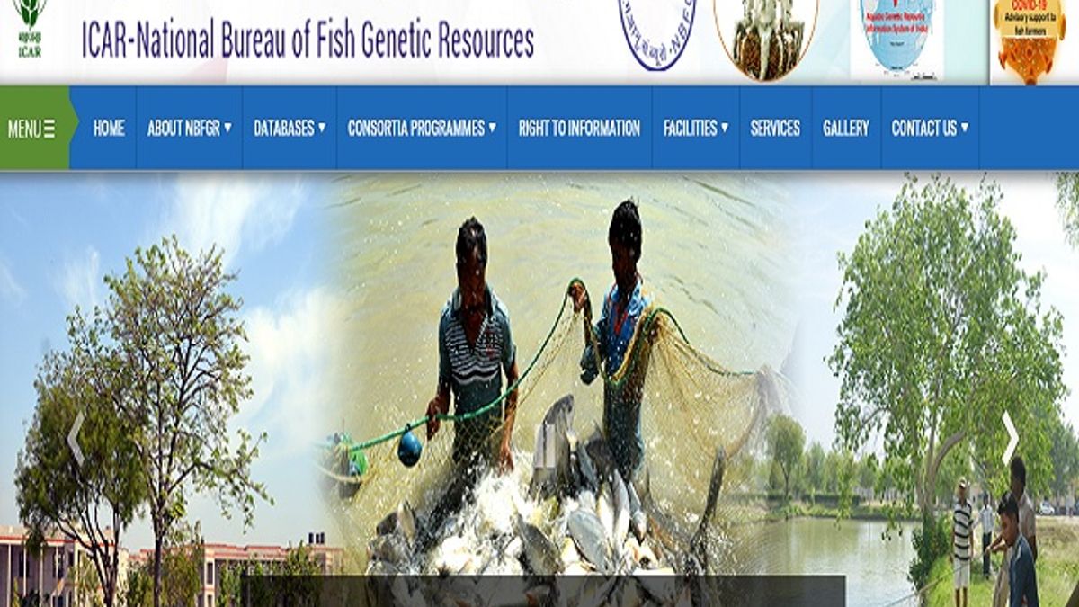 NBFGR Recruitment 2020 Walk-in for Young Professional-II Posts