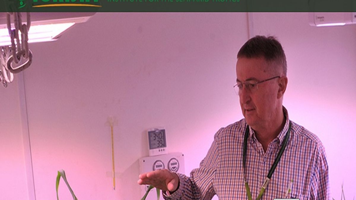 ICRISAT भर्ती 2020: रिसर्च टेक्निशियन, फील्ड सहायक और अन्य पदों की वेकेंसी के लिए करें आवेदन 