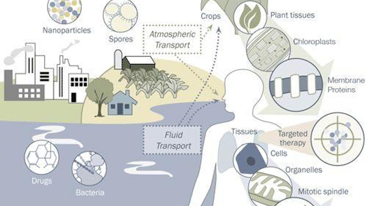 Carbon dioxide - Definition and Examples - Biology Online Dictionary