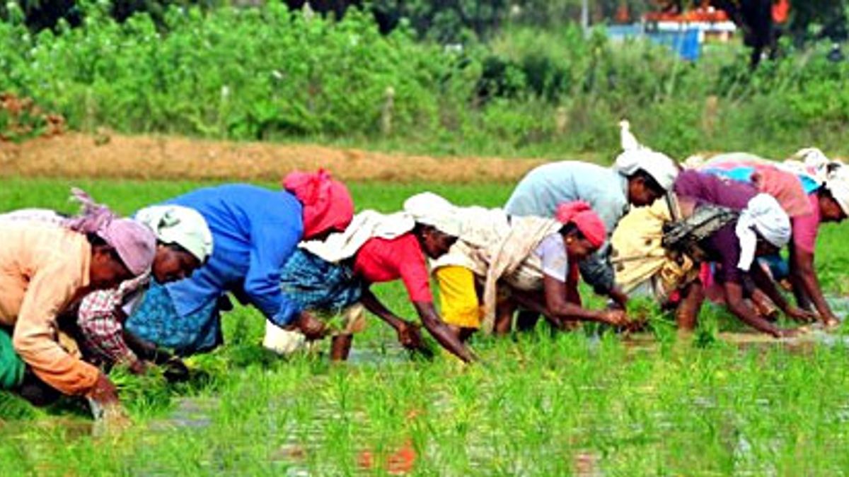 Cabinet approves Agriculture Export Policy 2018 to double farmer's income by 2022