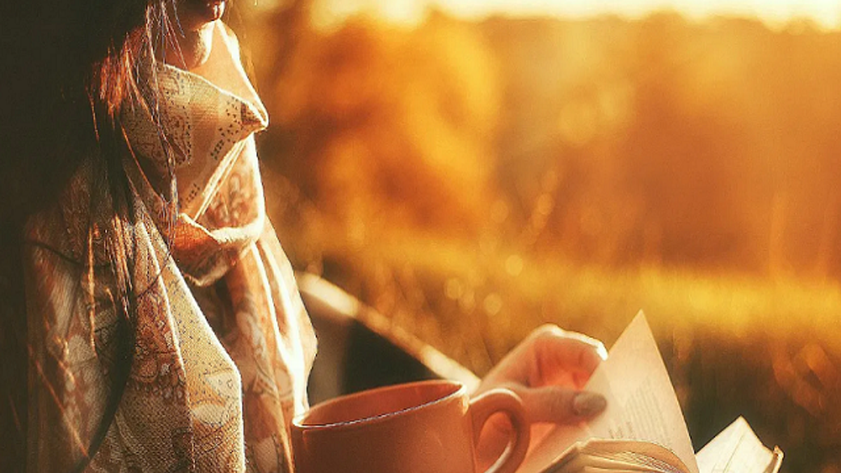 Top 15 Inspirational Books to Guide You Through the Success Path