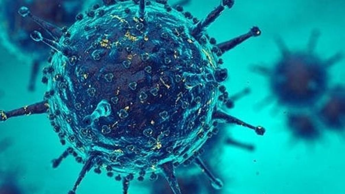 15 Unknown facts about Viruses 