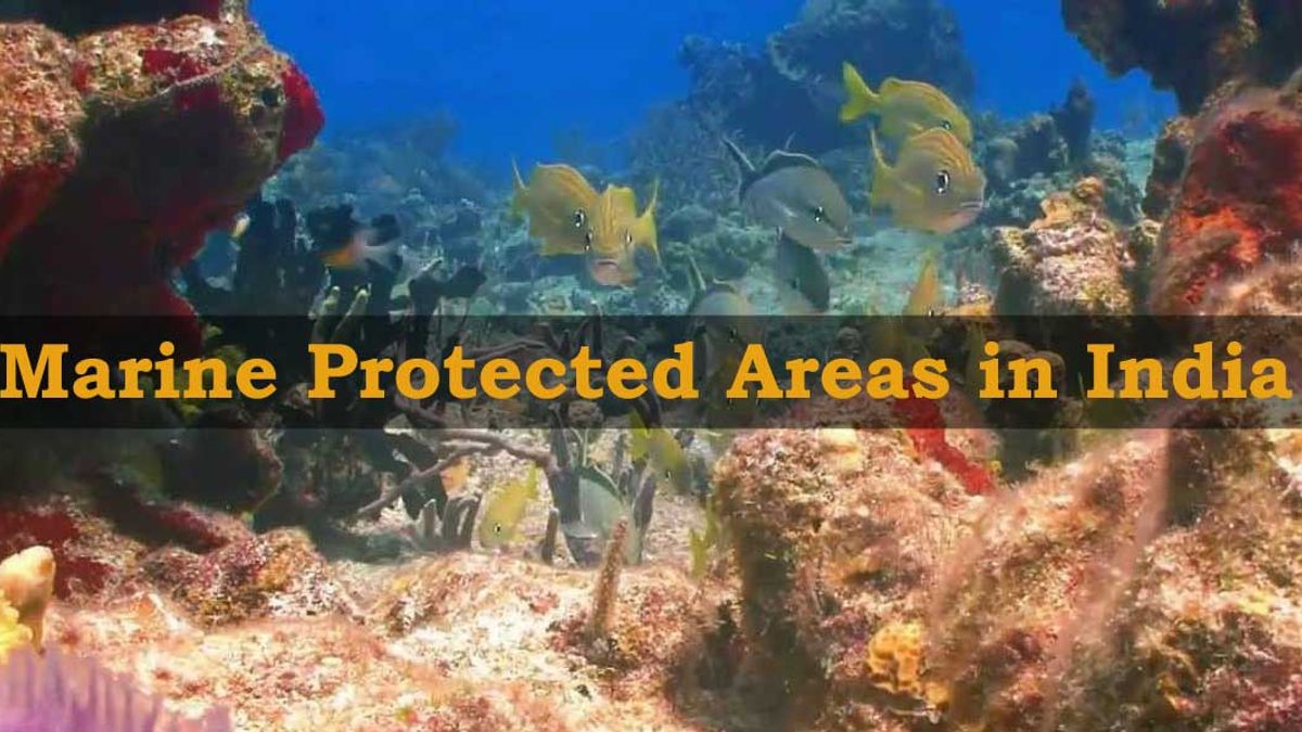 A complete list of Marine Protected Areas in India