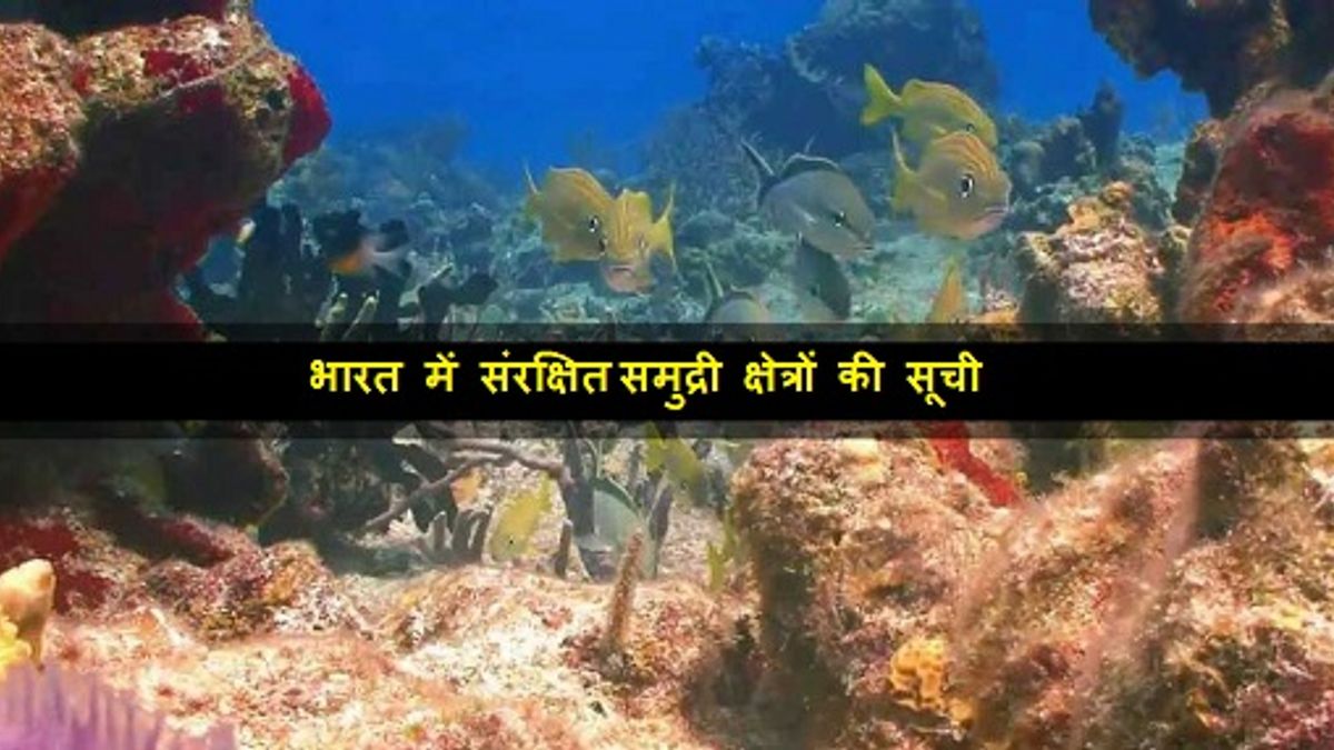 ह द A Complete List Of Marine Protected Areas In India