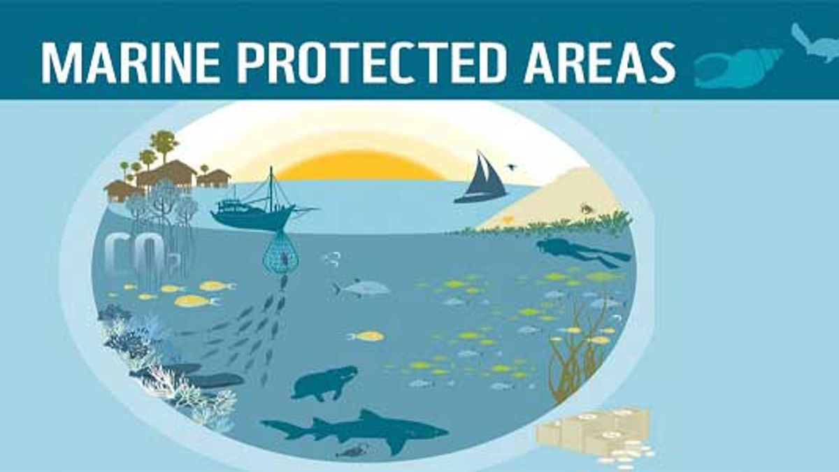 Top 10 largest Marine Protected Area