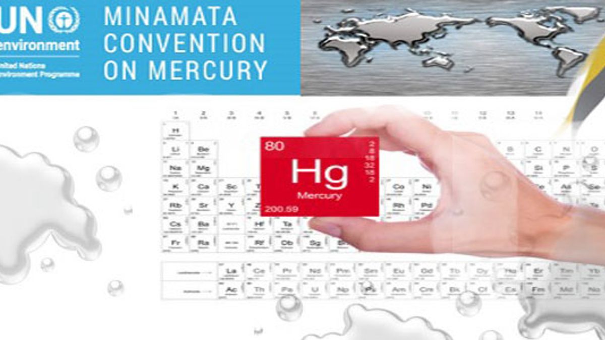 Minamata Convention on Mercury: Objectives and Significance