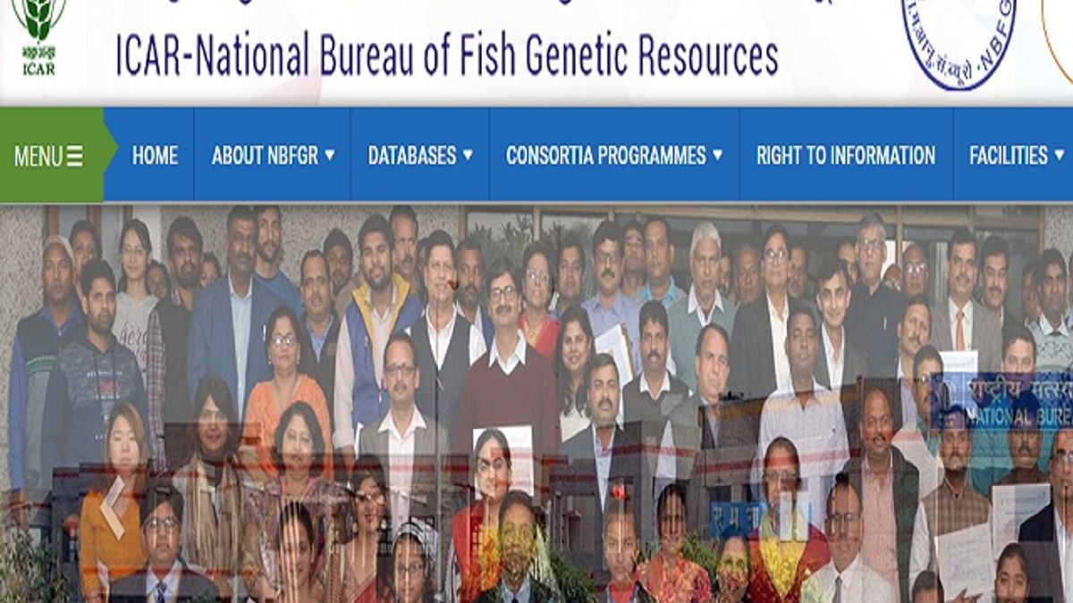 NBFGR भर्ती 2020: 11 यंग प्रोफेशनल-II पदों की वेकेंसी के लिए ऑनलाइन इंटरव्यू