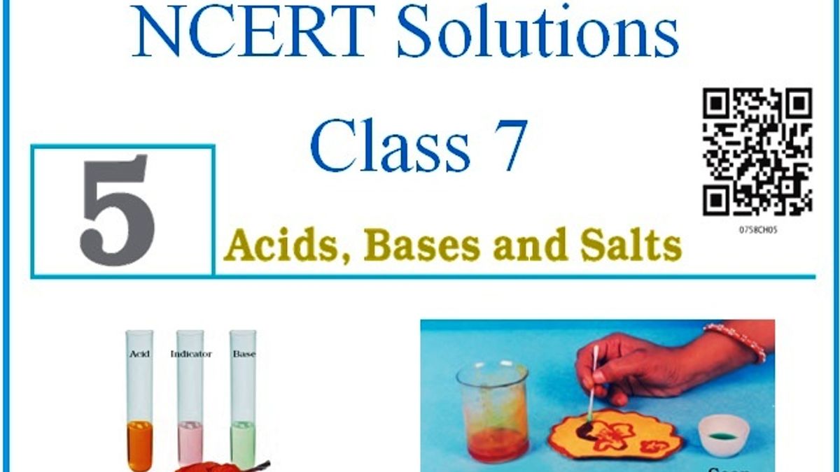 state two differences between acids and bases class 7