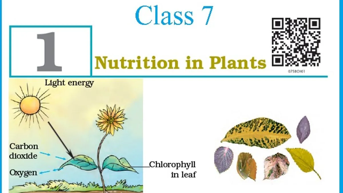 science assignment for class 7 chapter 1