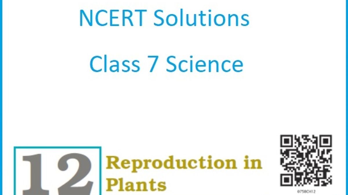 Ncert Solutions For Class 7 Science Chapter 12 Reproduction In Plants Pdf