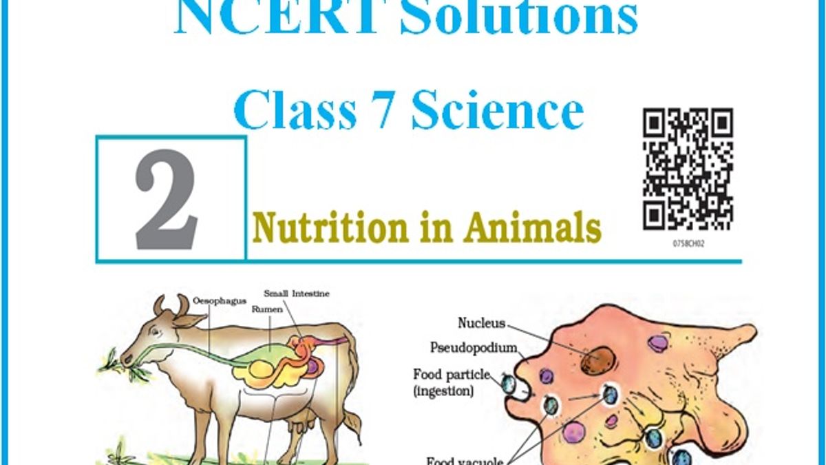 NCERT Solutions for CBSE Class 7 Science: Chapter 2 – Nutrition in Animals