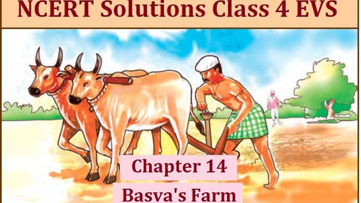 NCERT Class 4 EVS Solutions for Chapter 14 Basva's Farm