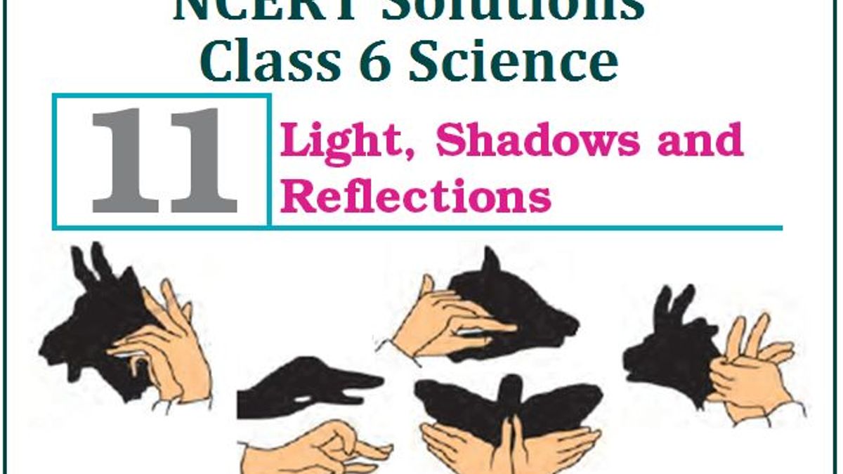 case study questions class 6 light shadow and reflection