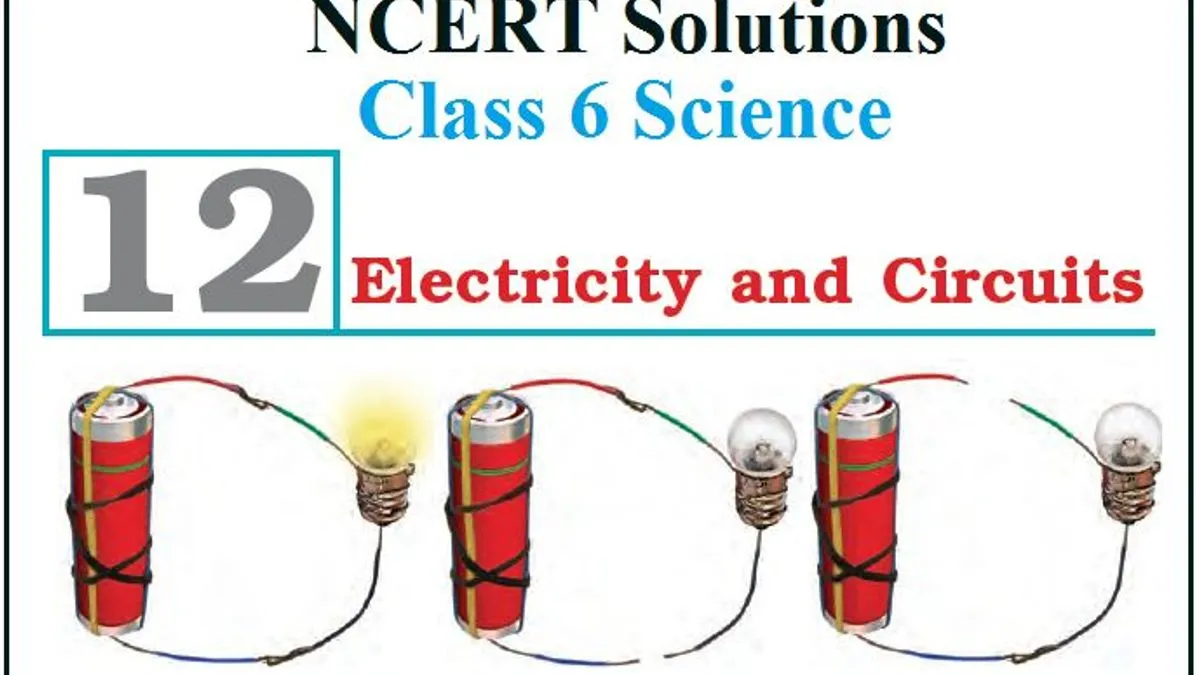 Work We Do Class 3 Notes CBSE EVS Chapter 12 [PDF]