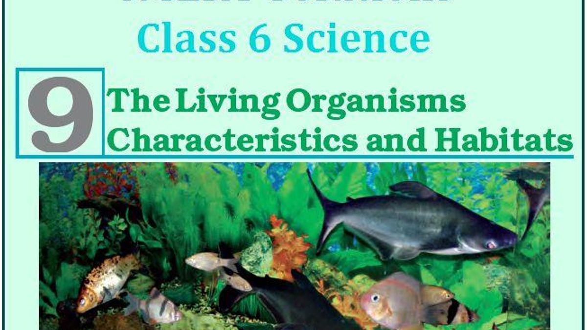 NCERT Class 6 Science Solutions Chapter 9 The Living Organisms  Characteristics and Habitats PDF