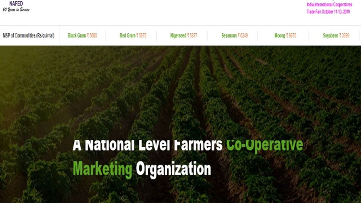 NAFED Recruitment 2019 Walk-in for General Manager Posts