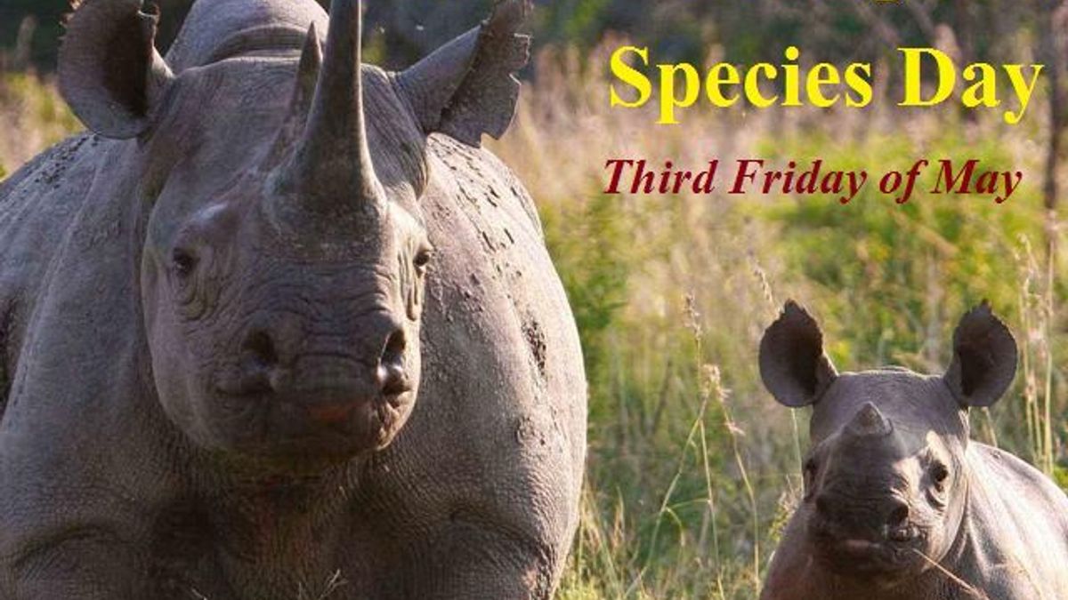 The Importance And Protection Of Endangered Species 