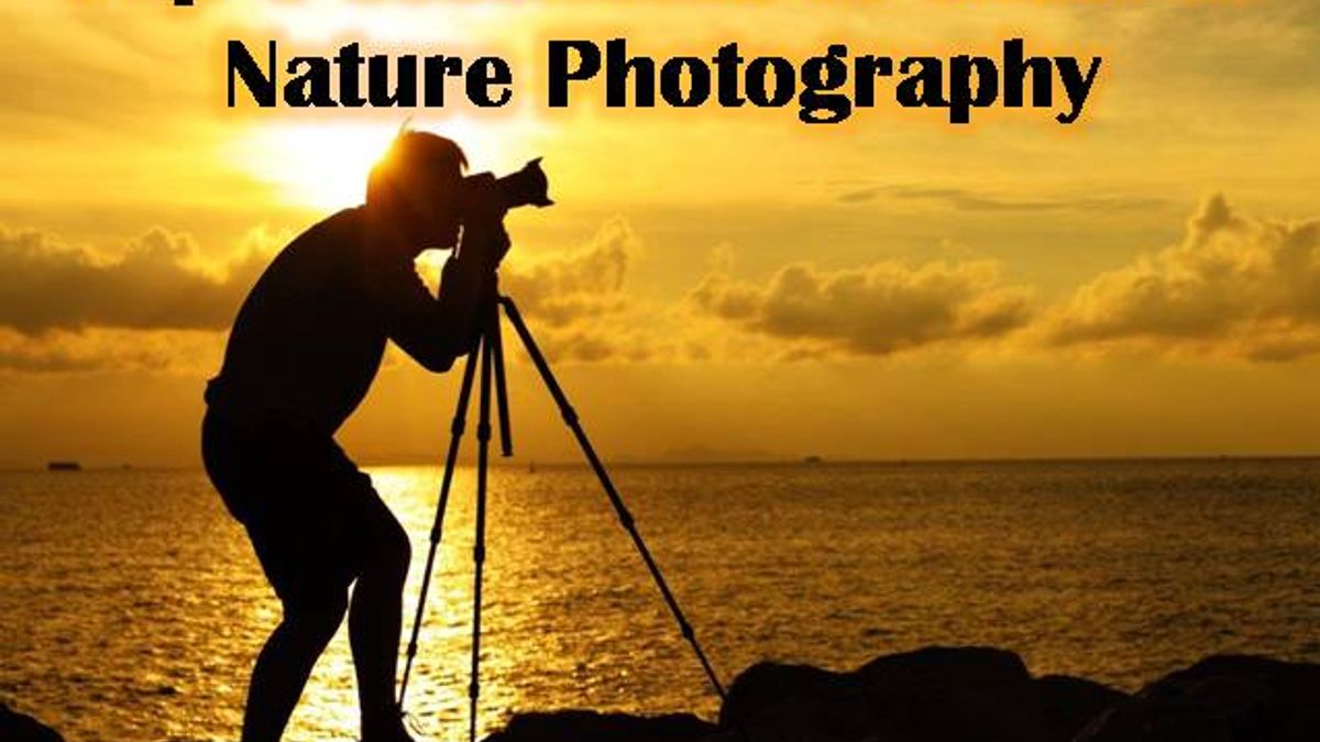 Top 4 essentials to excel the art of Nature Photography | Amazon Sale