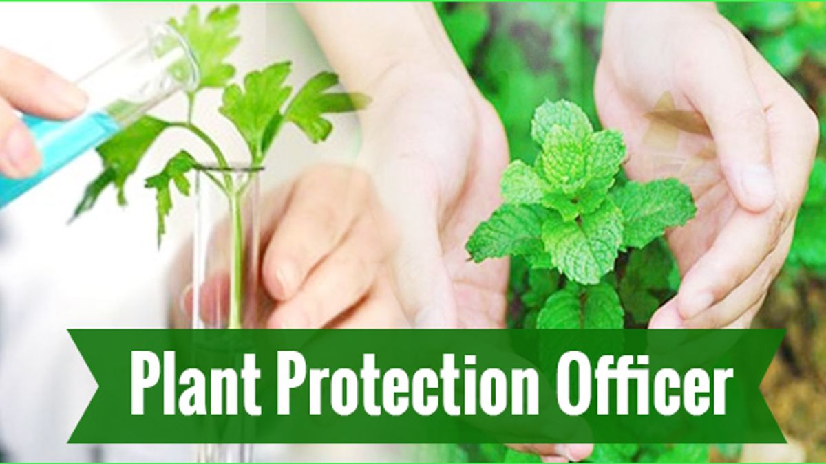 Hindi: Know the government jobs opportunities for Plant Protection
