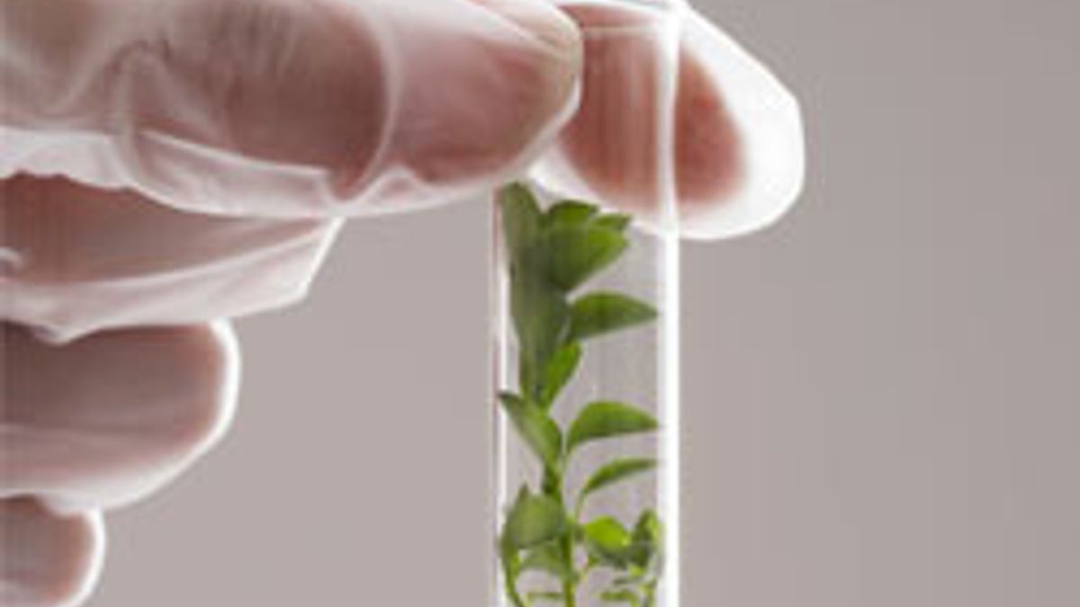 IGNOU will offer PG Diploma in Sustainability Science