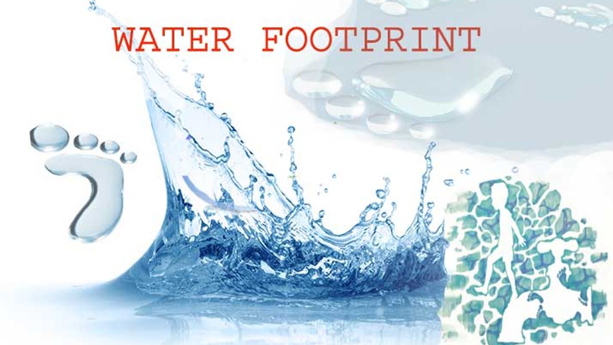 What Is The Environmental Footprint Of Bottled Water