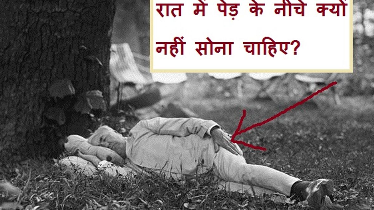 रात में पेड़ के नीचे क्यों नहीं सोना चाहिए?