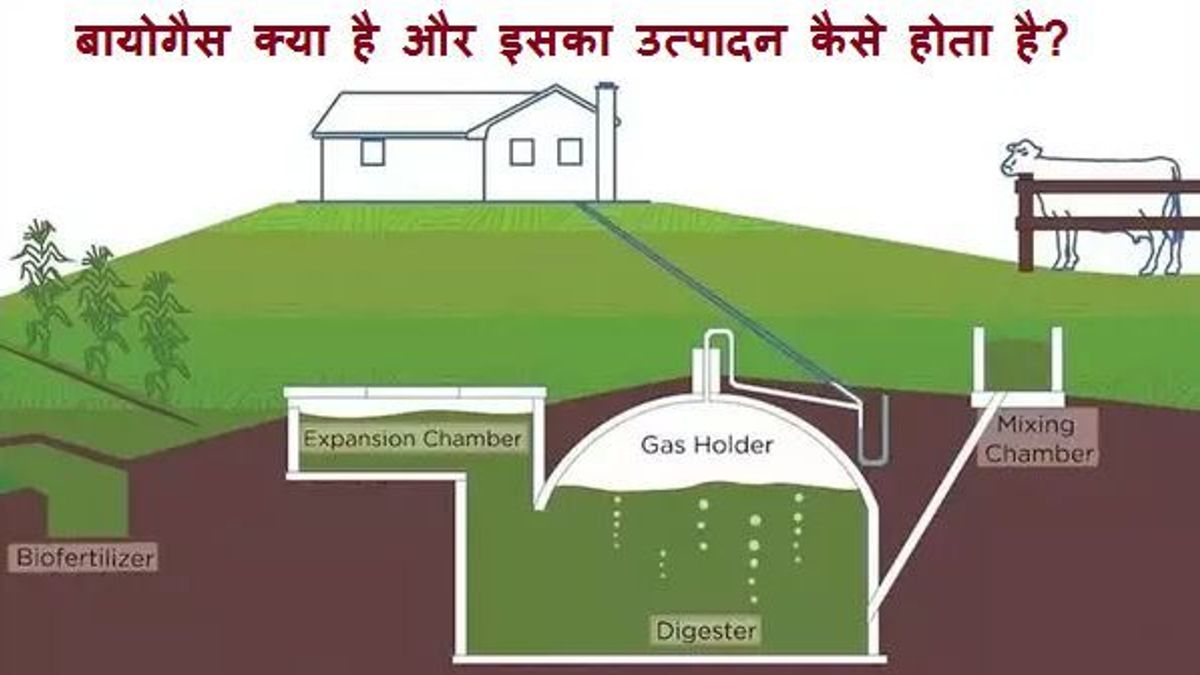 What is Biogas and how does Biogas plant work?