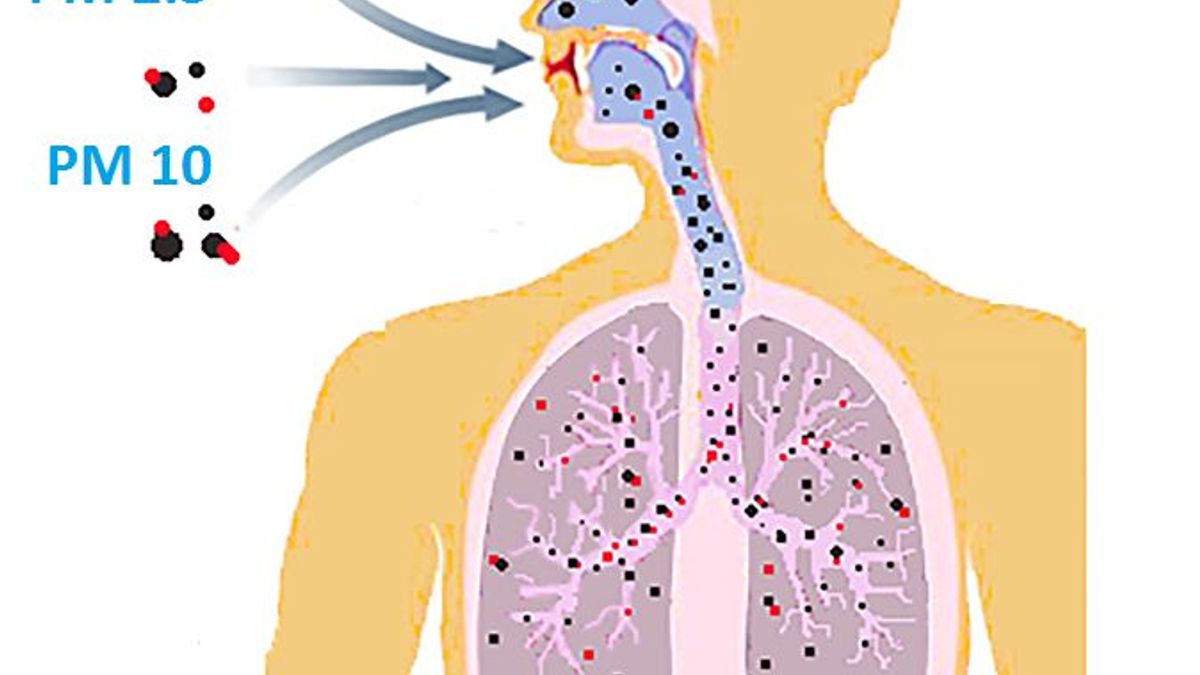 What is PM 2.5 and PM10 and how they affect health?