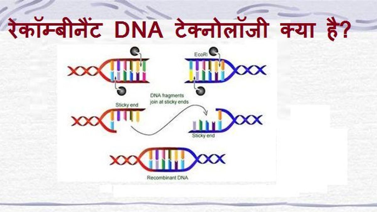 recombinant-dna-technology-clearias