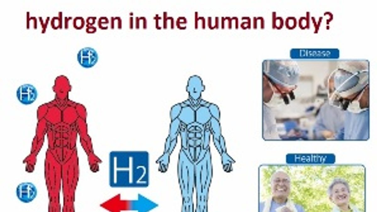 What is the function of hydrogen in the human body
