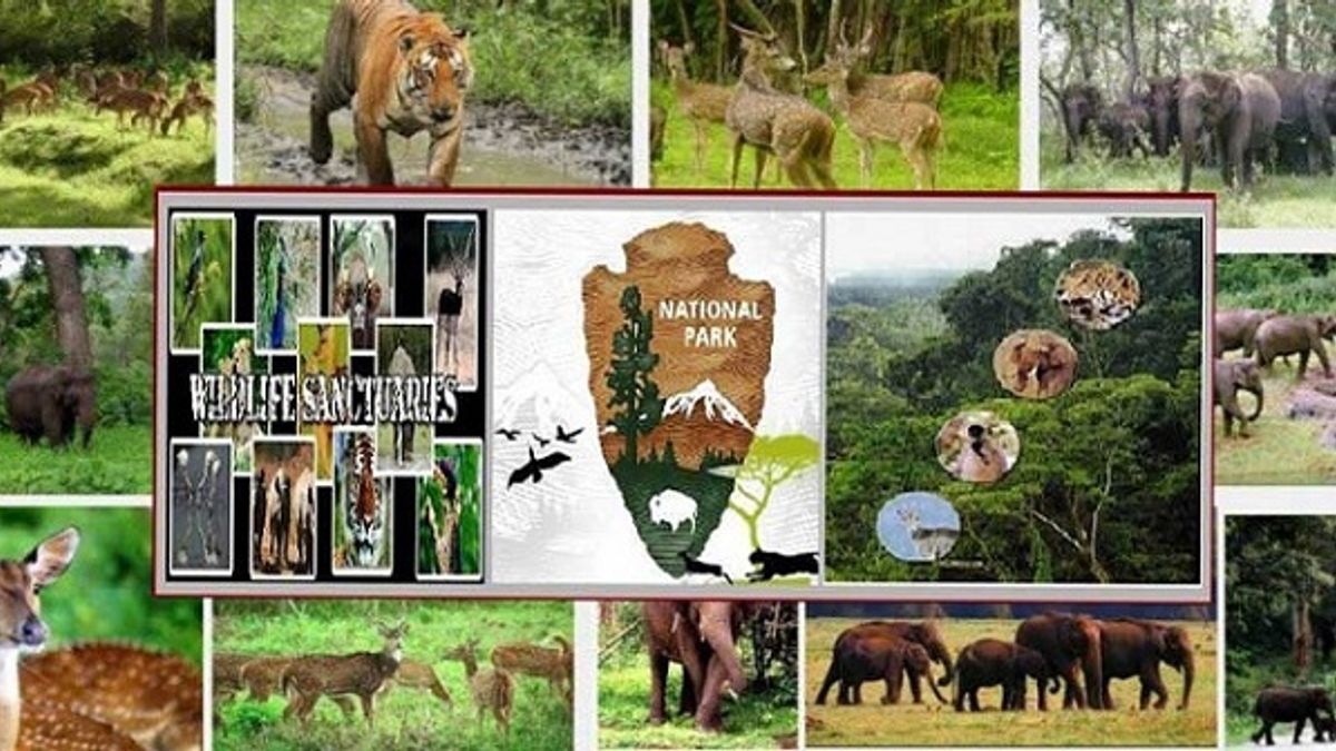 Difference Between Wildlife Sanctuary Biosphere Reserves And National Park