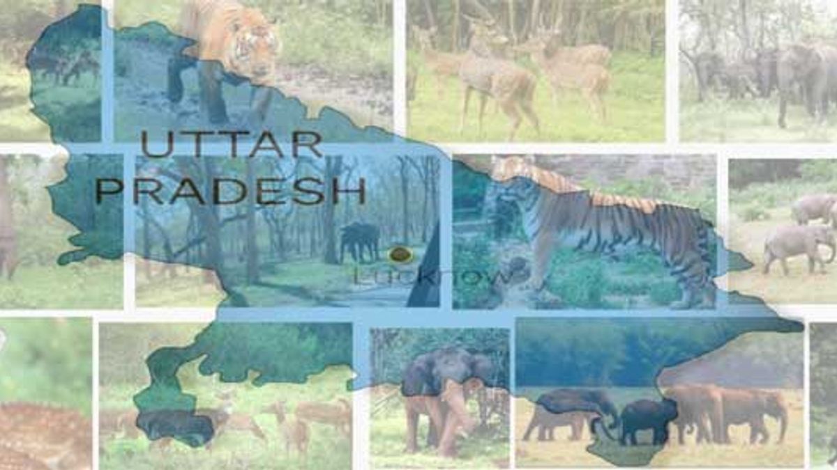 List of Wildlife sanctuaries in Uttar Pradesh