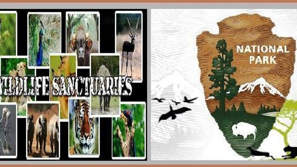 Featured image of post Wildlife Sanctuaries In Kerala And Himachal Pradesh / Andhra pradesh · arunachal pradesh · assam · chhattisgarh · goa · gujarat · haryana · himachal pradesh · jharkhand · karnataka · kerala · madhya pradesh · maharashtra · manipur · mizoram · odisha · punjab · sikkim · tamil nadu · telangana · uttar pradesh.