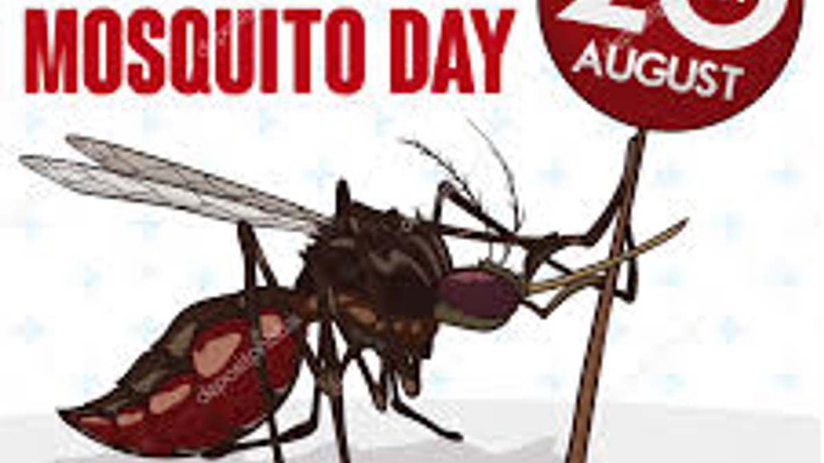 World Mosquito Day 2018