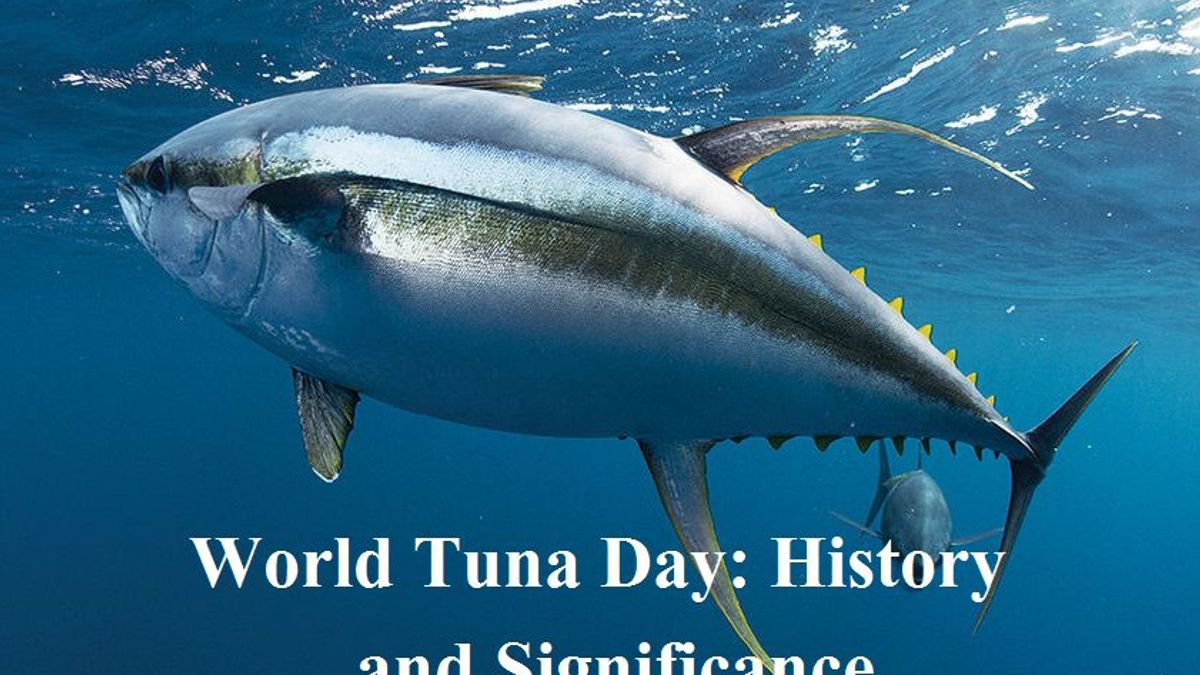 World Tuna Day 