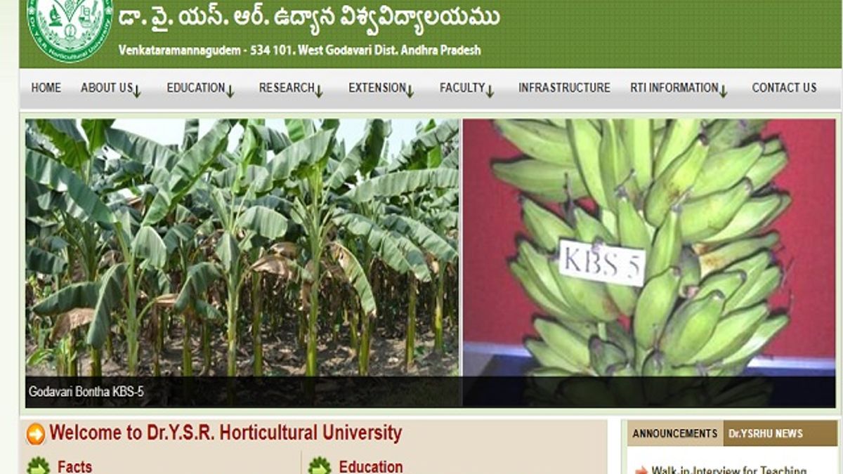 Dr YSR Horticultural University (DRYSRHU) Recruitment 2019 Walkin for 34 Teaching Associate Posts