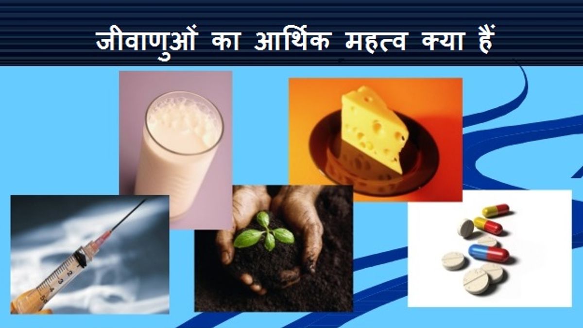 Why are bacteria important to people