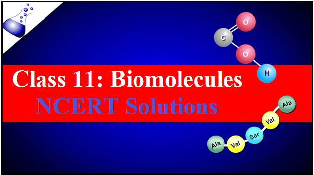 CBSE Class 11 Biology NCERT Solutions: Chapter 9, Biomolecules