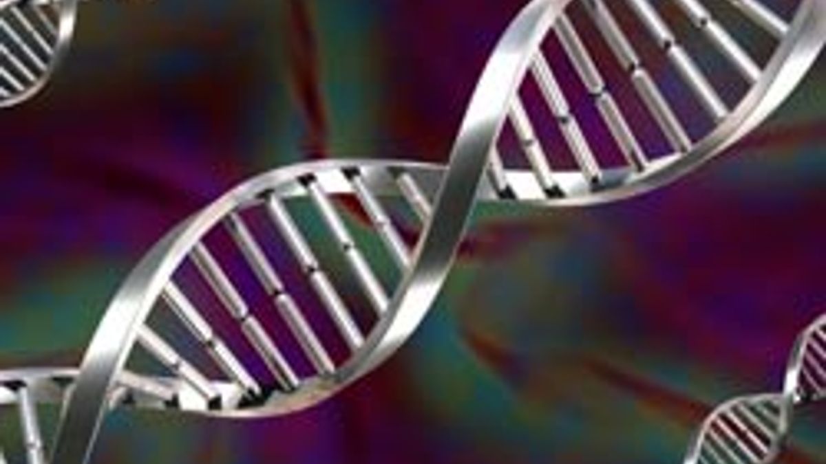 Courses in Biotechnology and Bioinformatics
