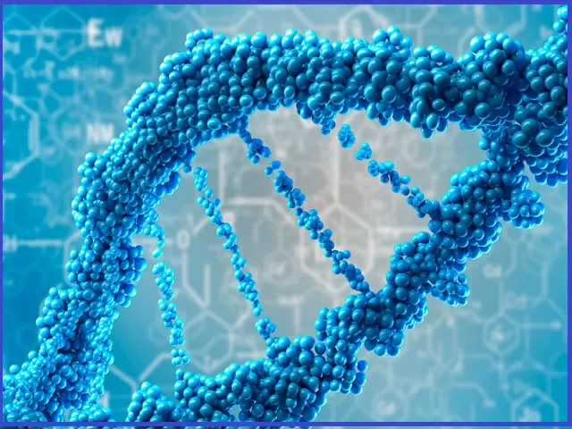 CBSE Sample Paper for Class 12 Biotechnology Board Exam 2021 (with ...