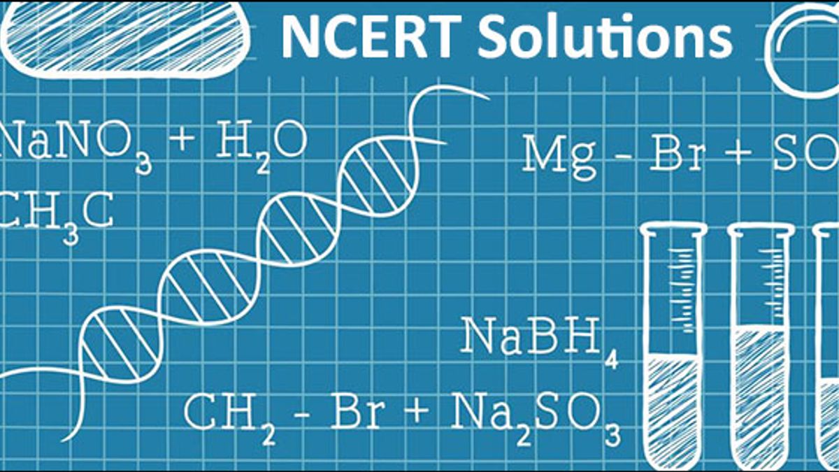 CBSE Class 11 Chemistry NCERT Solutions: Classification of Elements and Periodicity in Properties