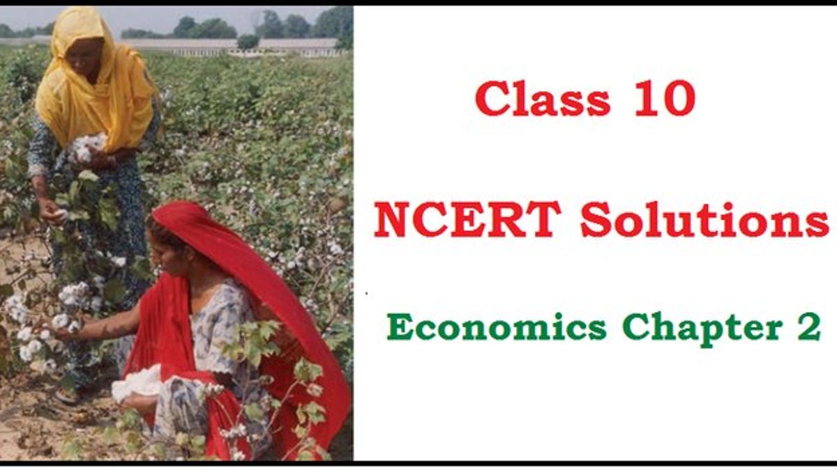 ncert-solutions-for-class-10-economics-chapter-2-sectors-of-the-indian