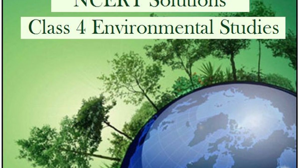 NCERT Solutions Class 4 EVS Chapter 1 Going To School - Free Download