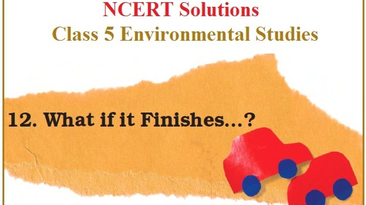 ncert-solutions-for-class-5-evs-chapter-12-what-if-it-finishes