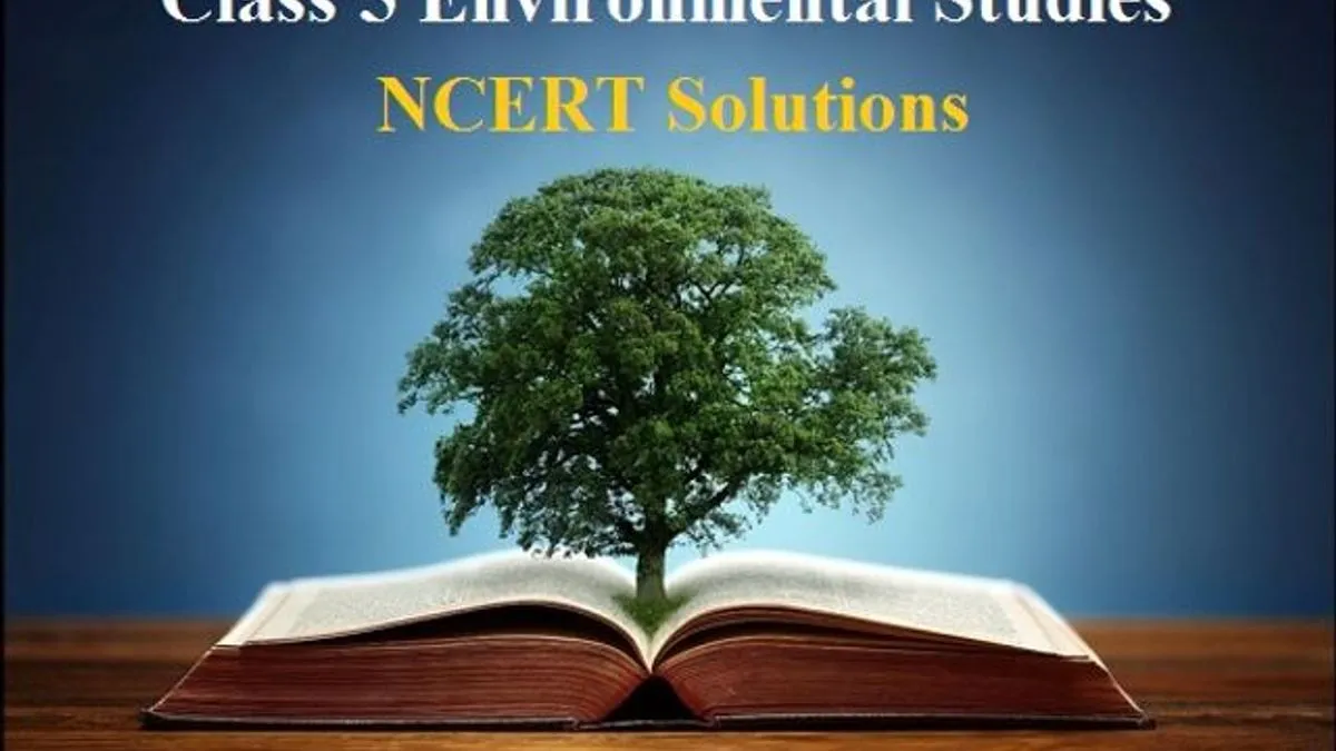 NCERT Solutions for Class 5 EVS
