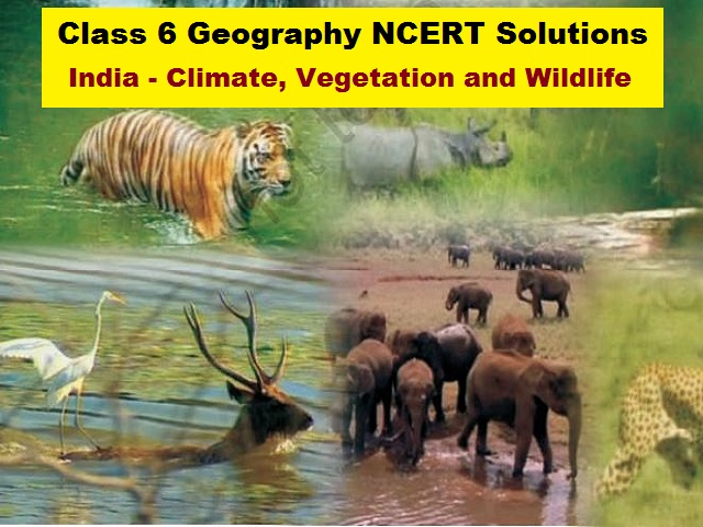 NCERT Solutions for Class 6 Geography Chapter 8 India Climate Vegetation  and Wildlife PDF